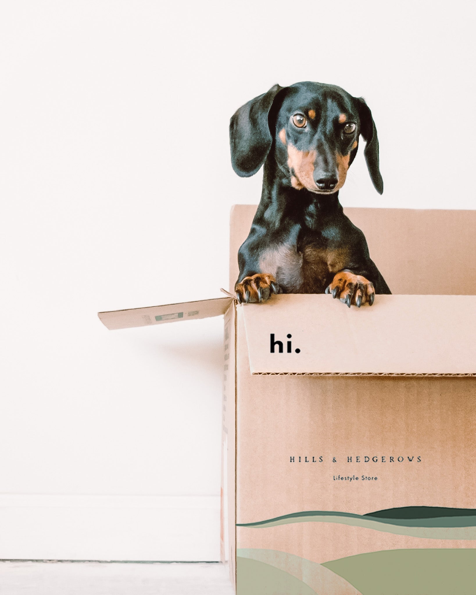 Beautifully designed UK greeting cards, sustainable gift wrap, and personalised gift tags. Enhance your gifting with our online gift delivery service