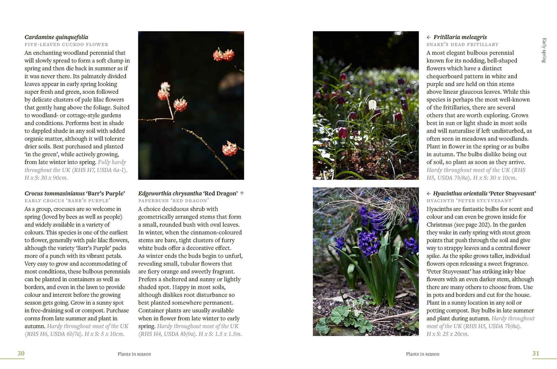 What To Sow, Grow and Do: A Seasonal Garden Guide
