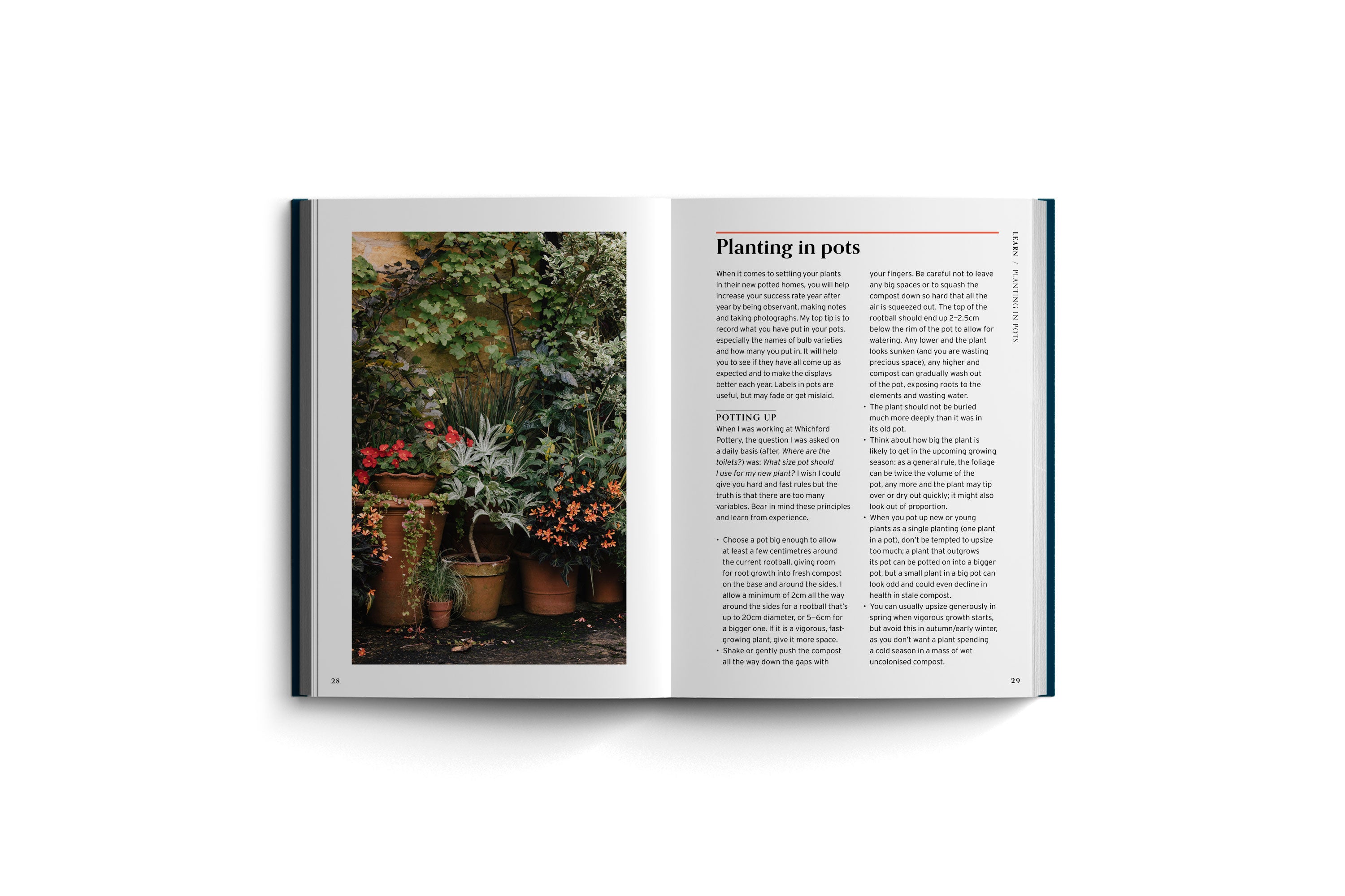 Pots: Fill Your Containers with Plants | Harriet Rycroft