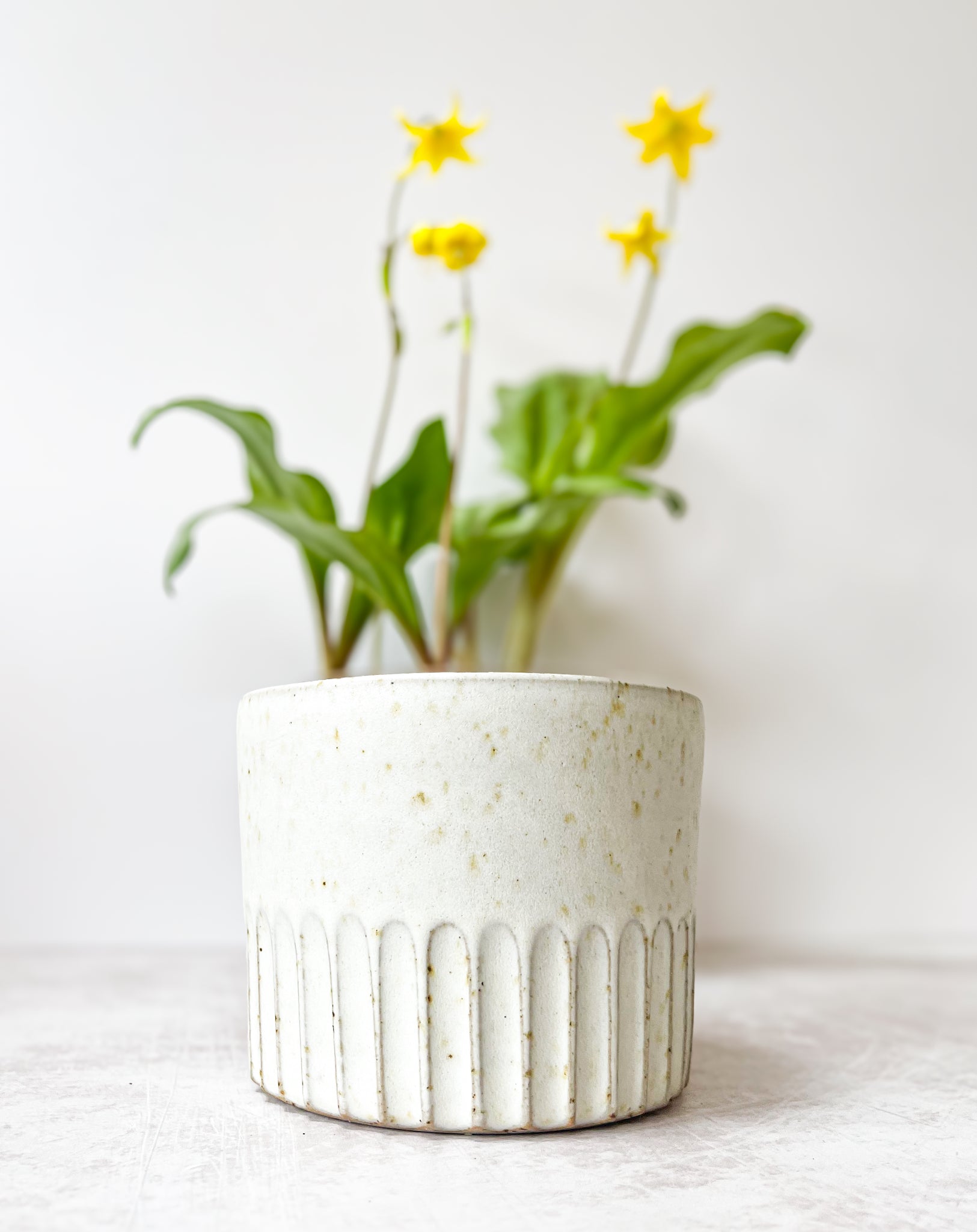 Handmade Indoor Ceramic Plant Pot