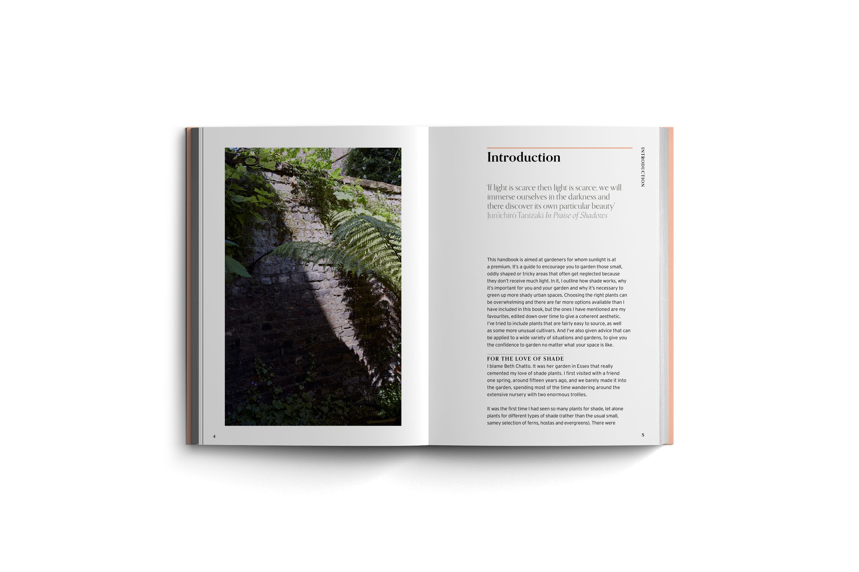 Thriving in Shade: A Planting Handbook