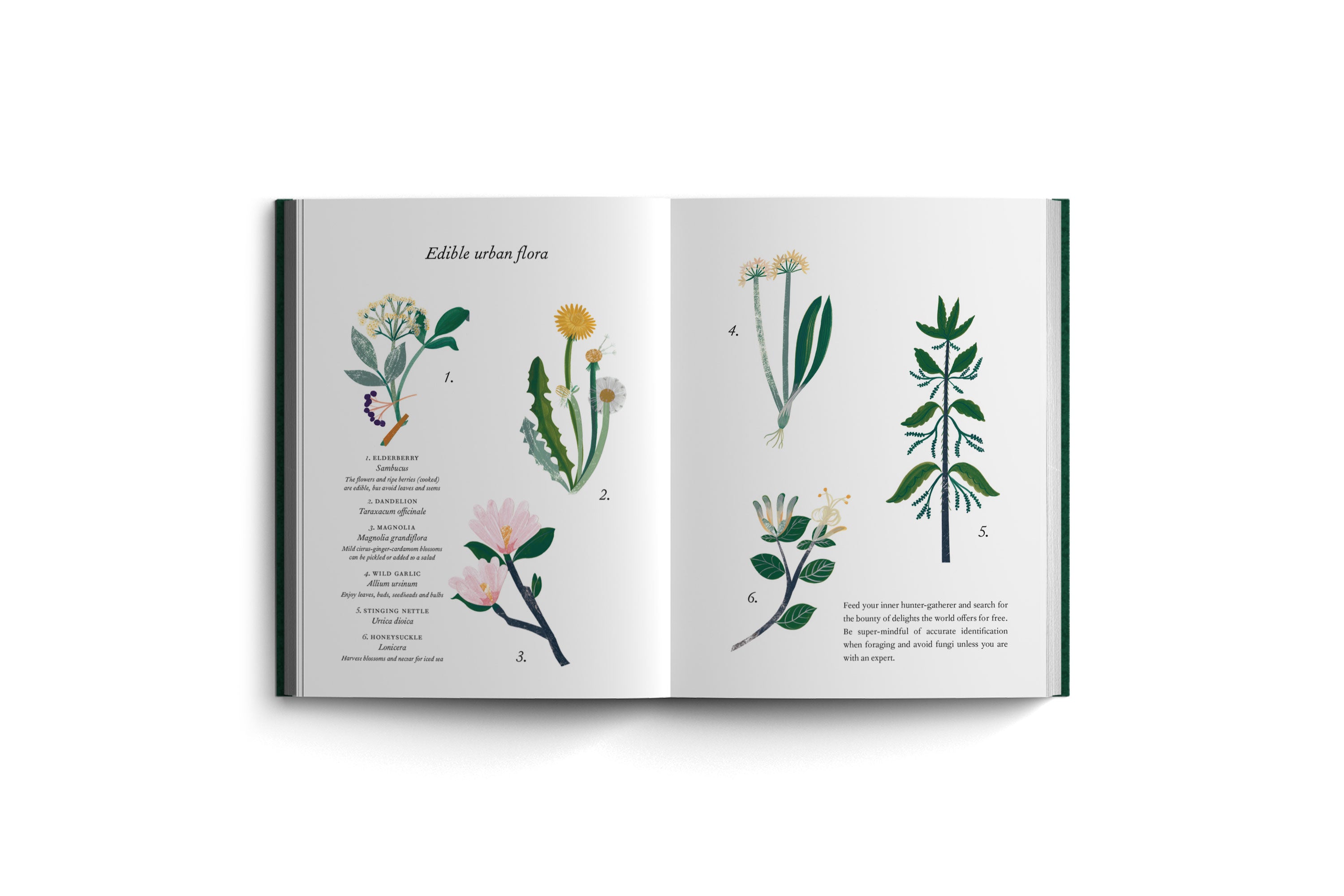 Into Green | Everyday Ways to Find and Lose Yourself in Nature