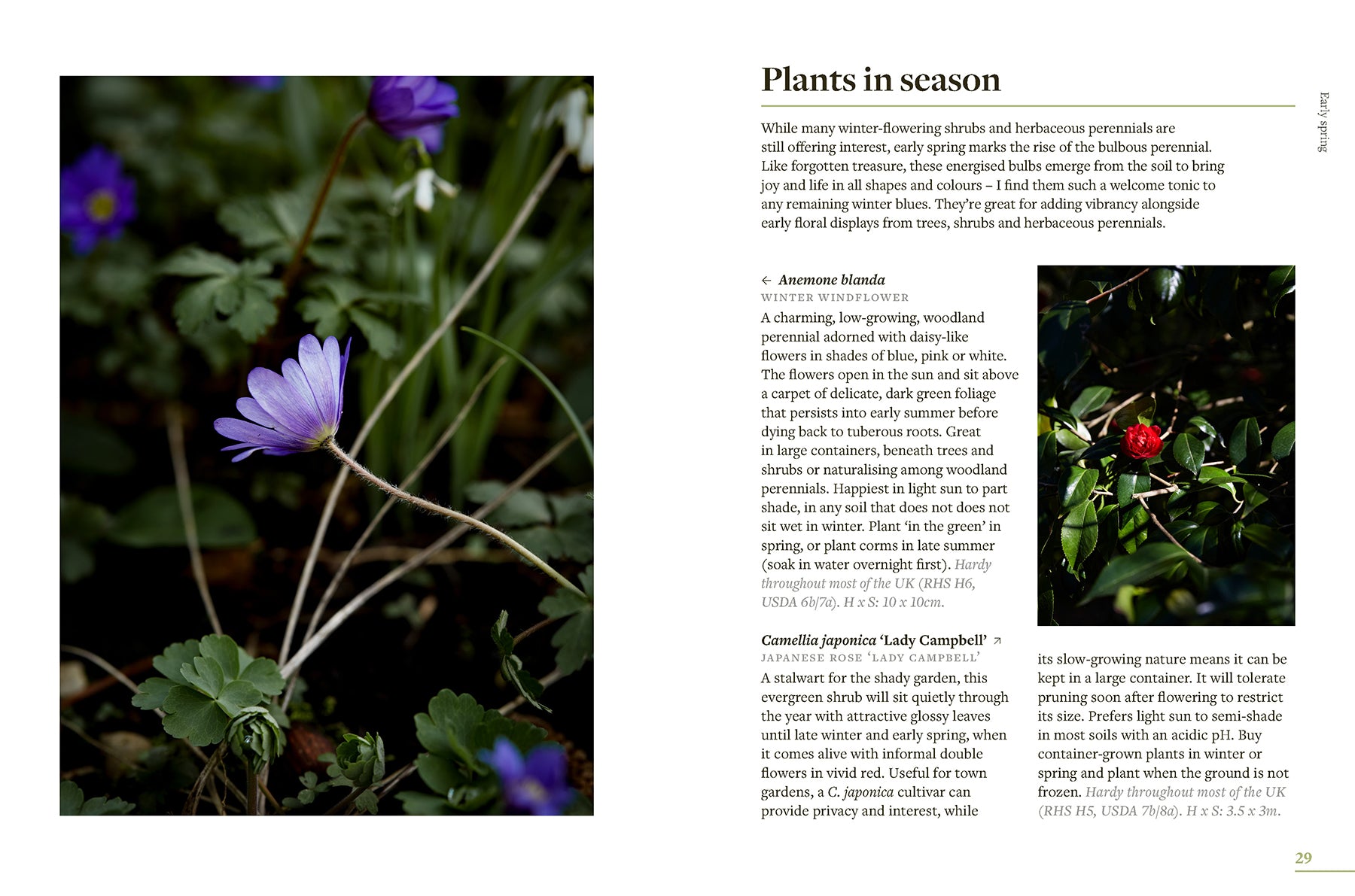 What To Sow, Grow and Do: A Seasonal Garden Guide
