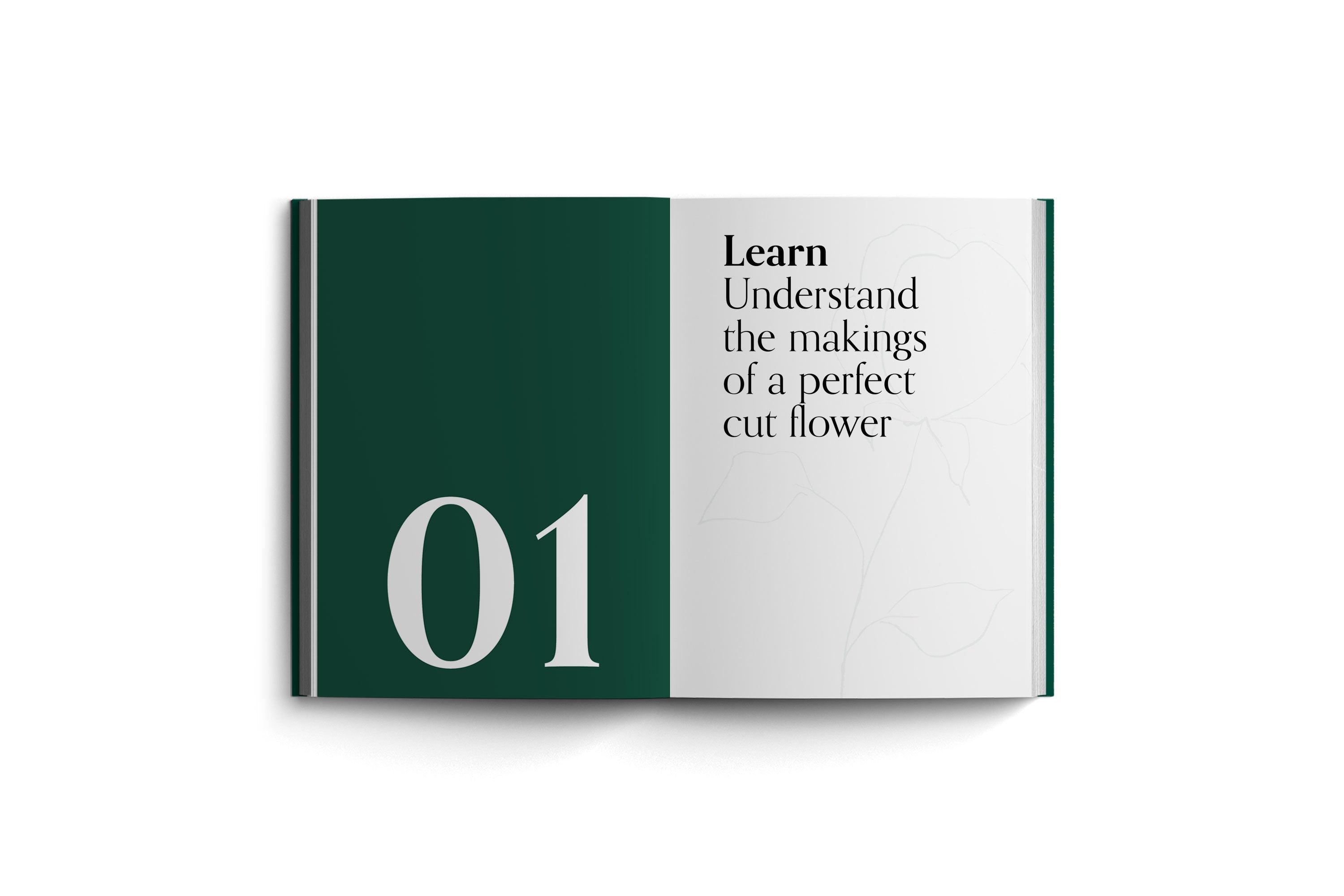 Cut Flowers | Celestina Robertson