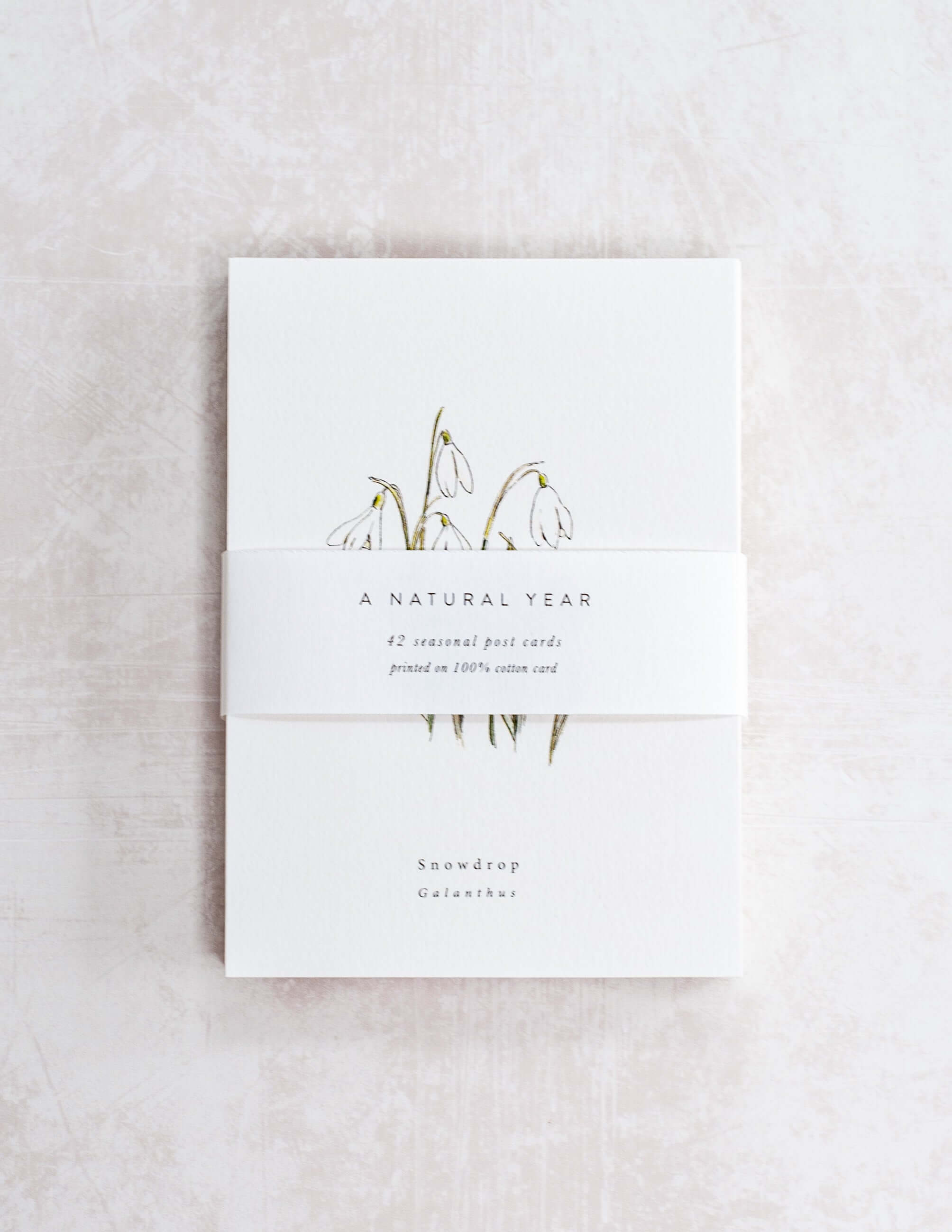 Handmade Nature-Themed Post Card Set - A Natural Year | Eco-Friendly Greeting Cards