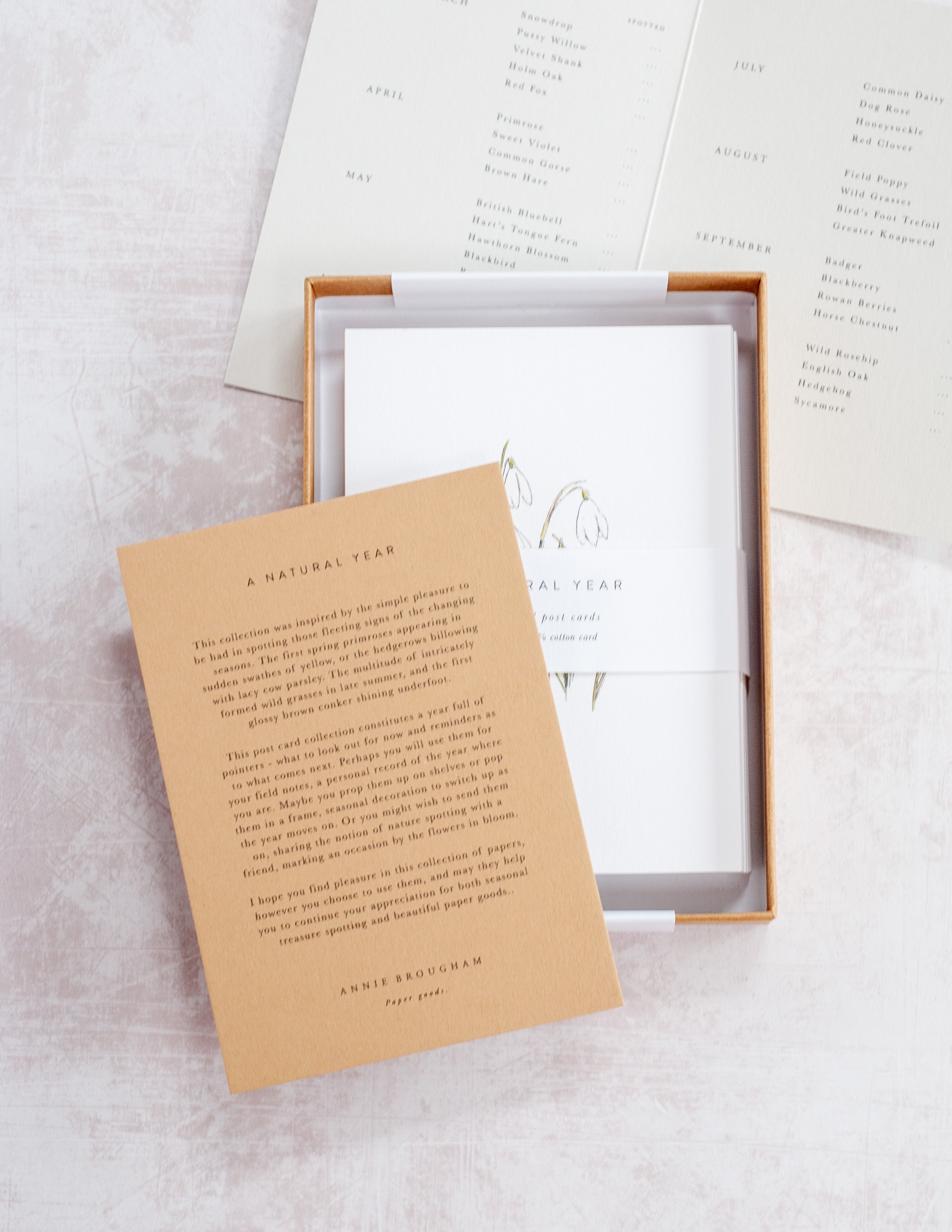 Handmade Nature-Themed Post Card Set - A Natural Year | Eco-Friendly Greeting Cards