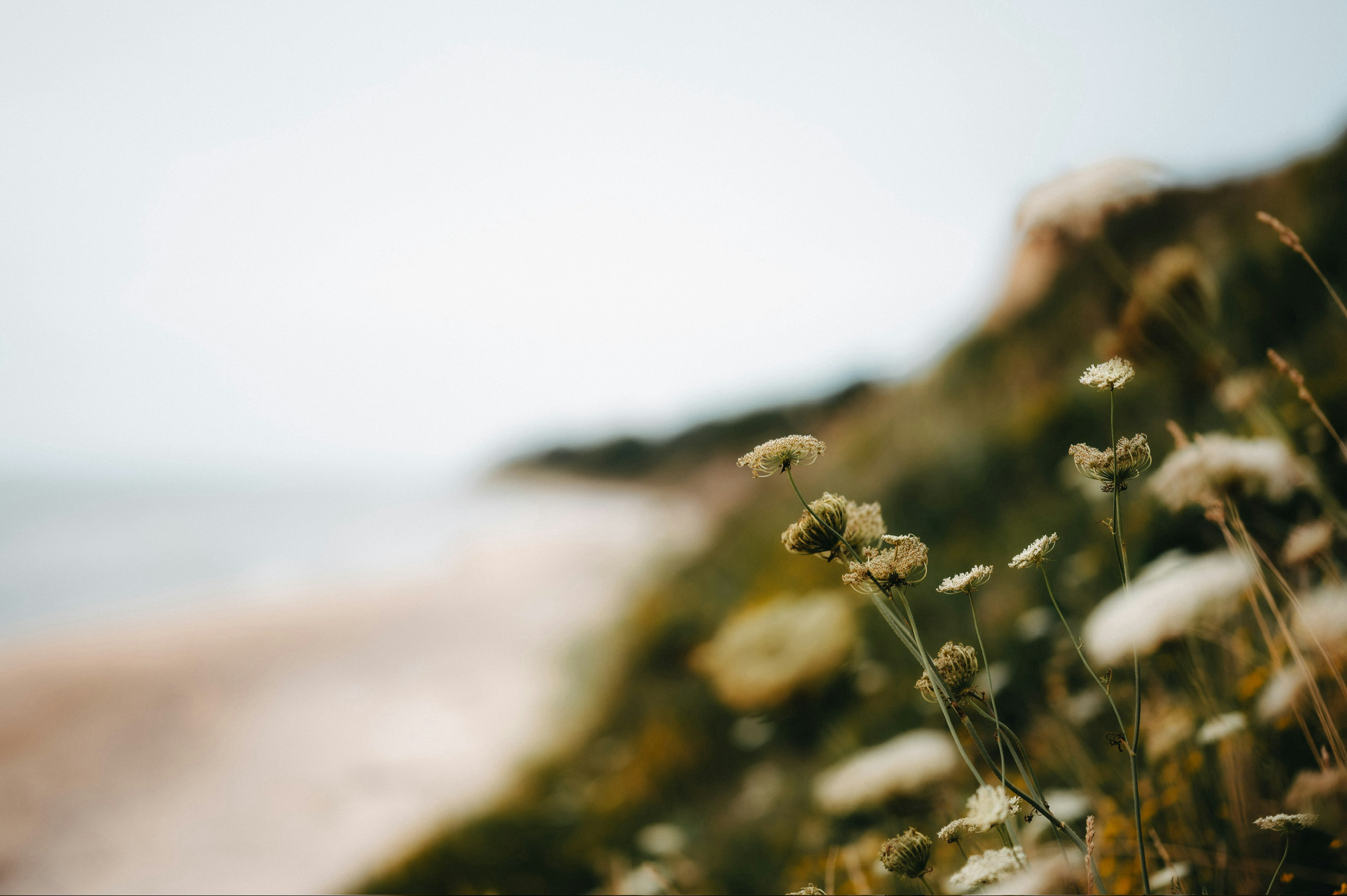 Hills & Hedgerows Values - Ethically Sourced and Sustainably Made 